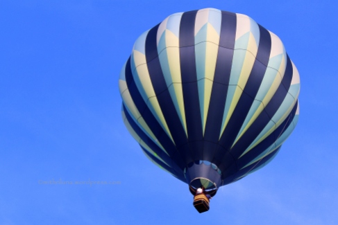 Hot air balloon (photo taken by my son)